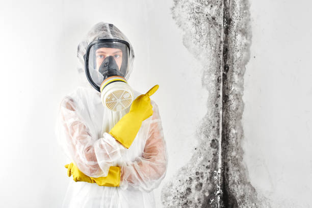 Best Sewage cleanup and water damage restoration  in USA